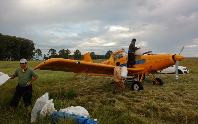  Uso do avião agrícola para adubação das pastagens na Luz de São João | abc+