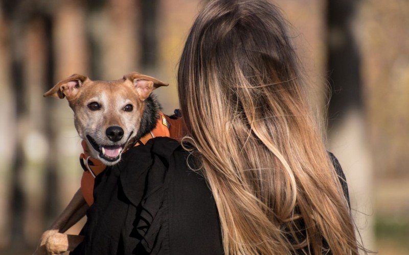 Mulheres que possuem conexão profunda com o cachorro de estimação têm benefícios na saúde mental | abc+