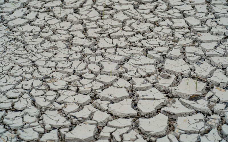 Enquanto pode causar chuvas intensas em algumas partes do País, em outras a La Niña causa a seca | abc+