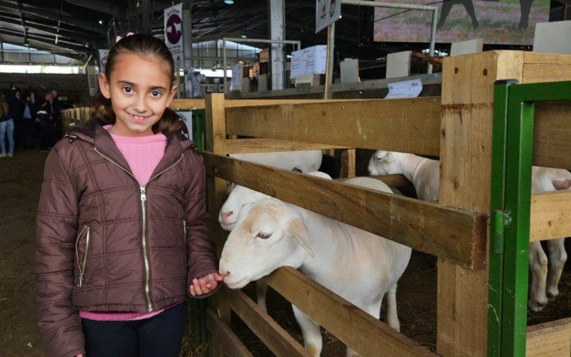 Sofia Castro, 7 anos, adorou ver as ovelhas na Expointer