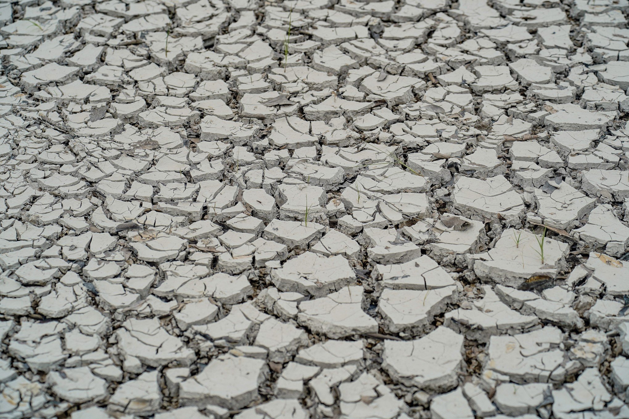 Dupla La Niña? Entenda o que significa e quais os impactos no clima