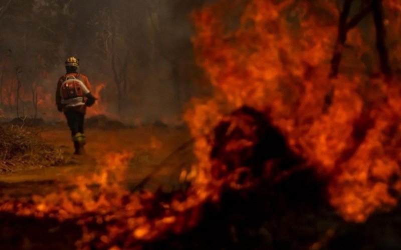 Queimadas no Centro do Brasil são um dos fenômenos que tendem a se tornar mais comuns com aquecimento global | abc+