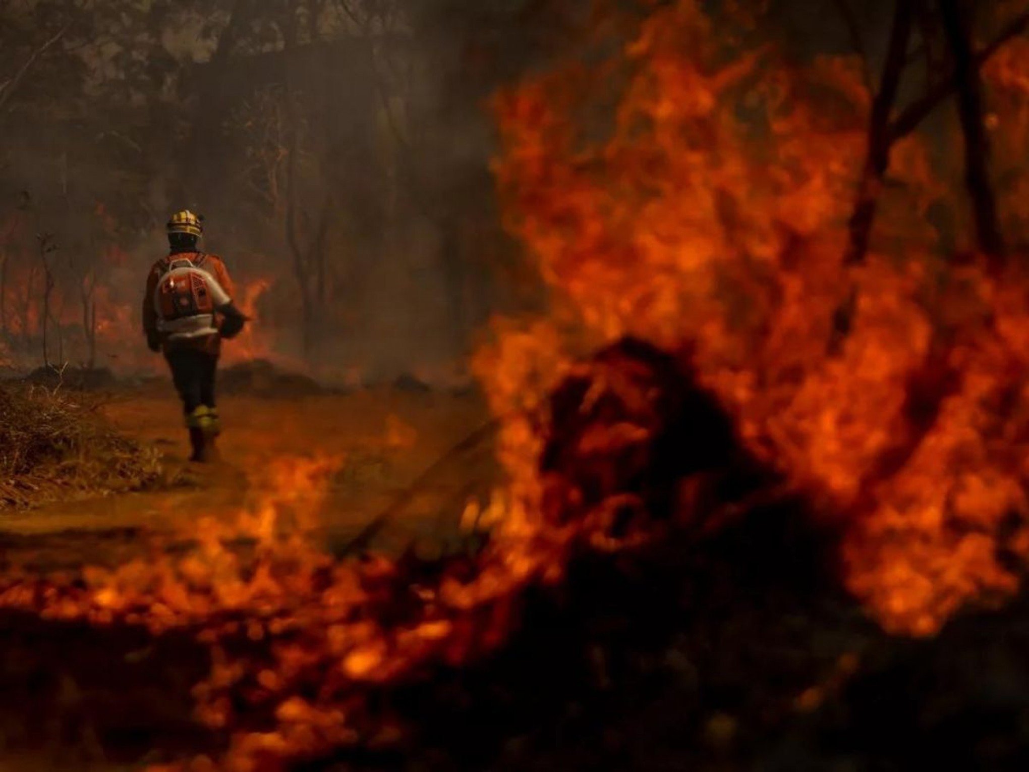 Suspeito de atear fogo a área de proteção ambiental do Distrito Federal é preso