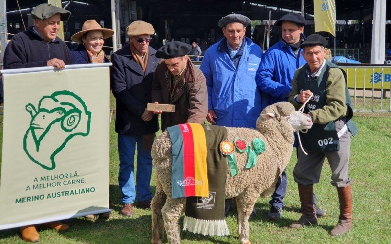 Julgamento de ovinos na Expointer | abc+