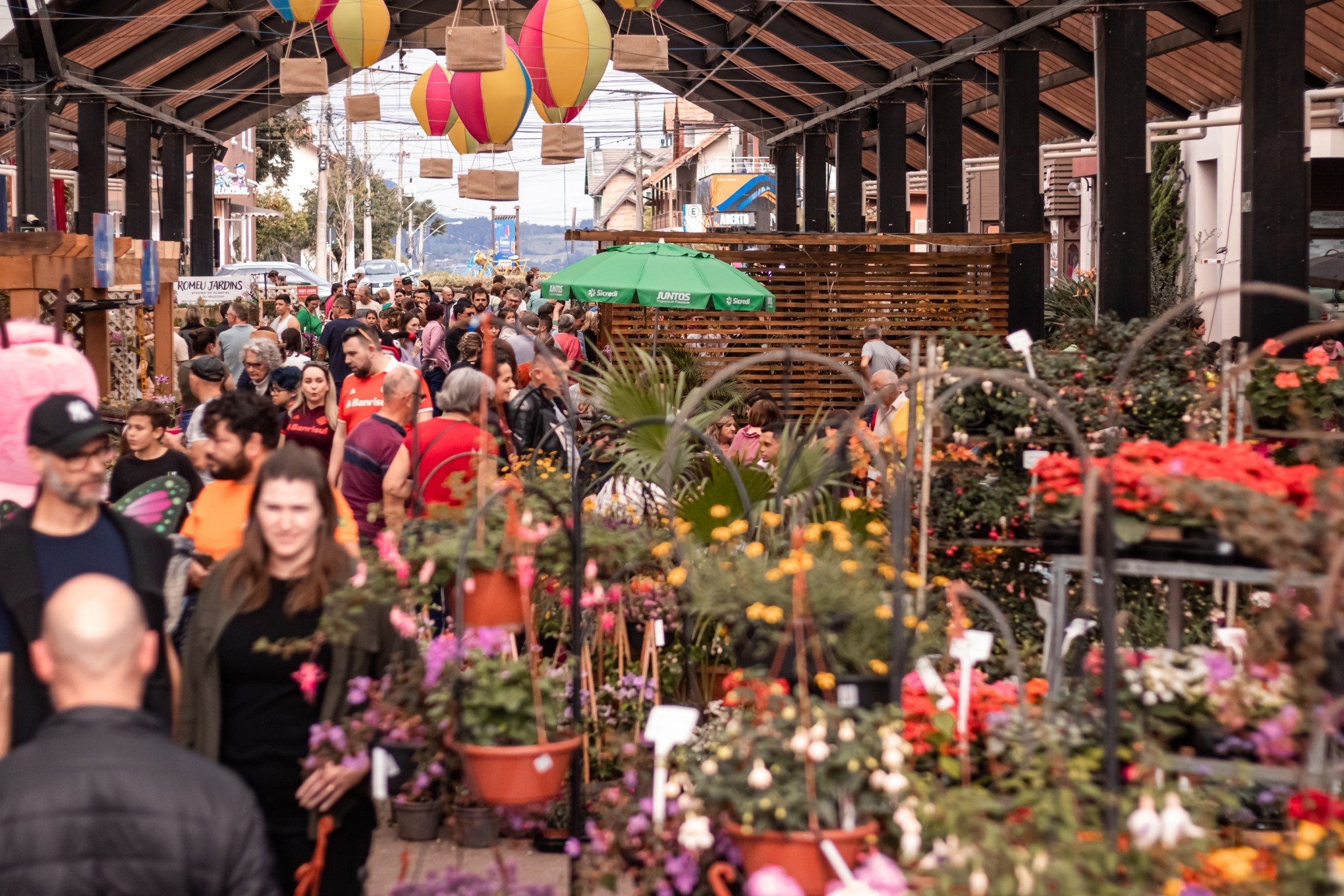 Festival da Primavera de Nova Petrópolis tem programação divulgada; confira