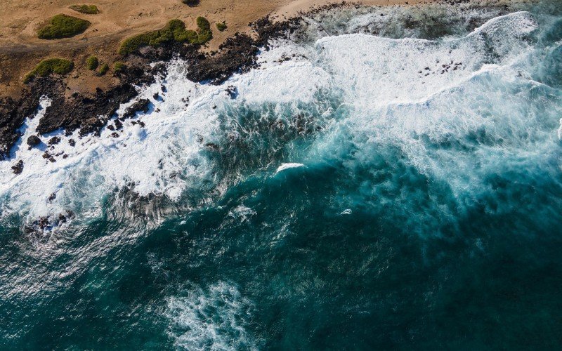 Oceano Pacífico | abc+