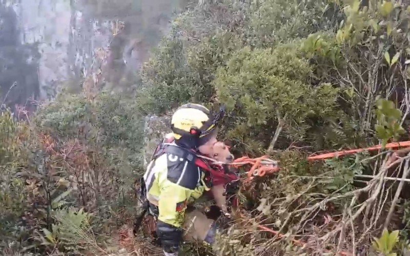 Uso de rapel foi necessário para resgatar o vira-lata caramelo em Cambará