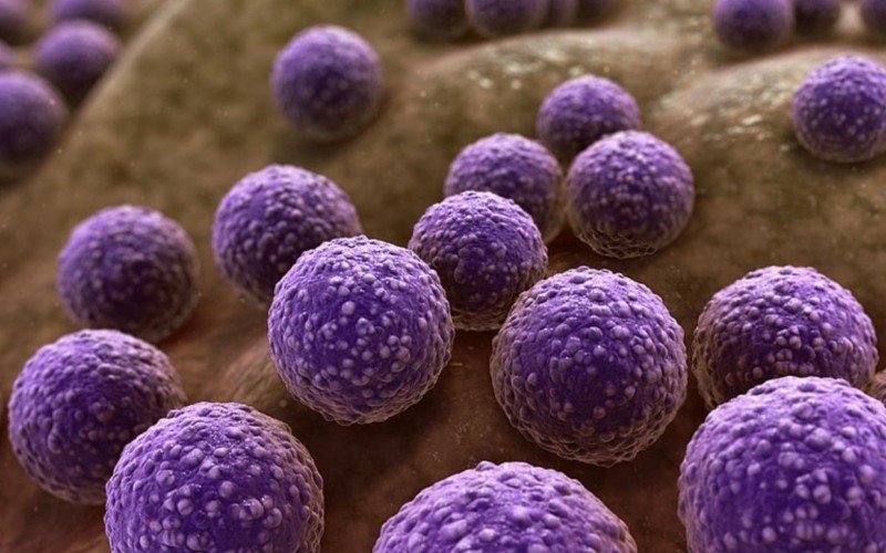 Staphylococcus aureus - bactéria capaz de provocar a celulite facial | abc+