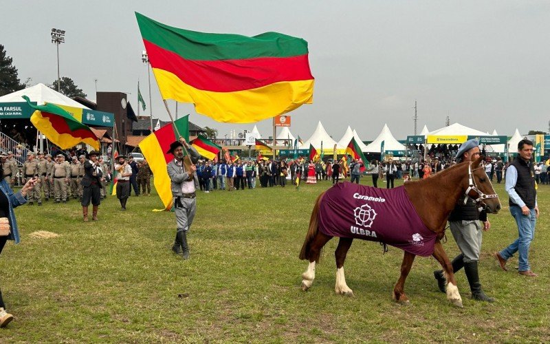 Cavalo Caramelo na Expointer 