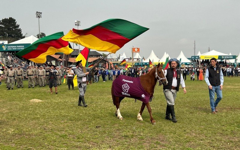 Cavalo Caramelo na Expointer 