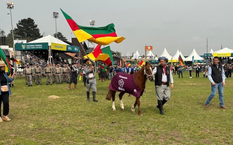 Cavalo Caramelo na Expointer 