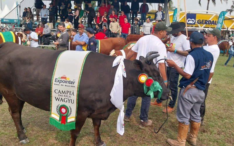 Desfile na 47ª Expointer 