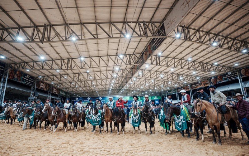 Final da competição Freio de Ouro de 2023 | abc+