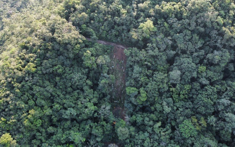 Uma clareira se abriu em meio à vegetação do morro depois do acidente com o guindaste | abc+