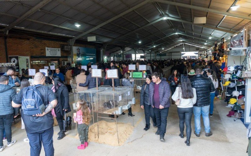 Pavilhão de pequenos animais é uma boa opção para levar as crianças | abc+