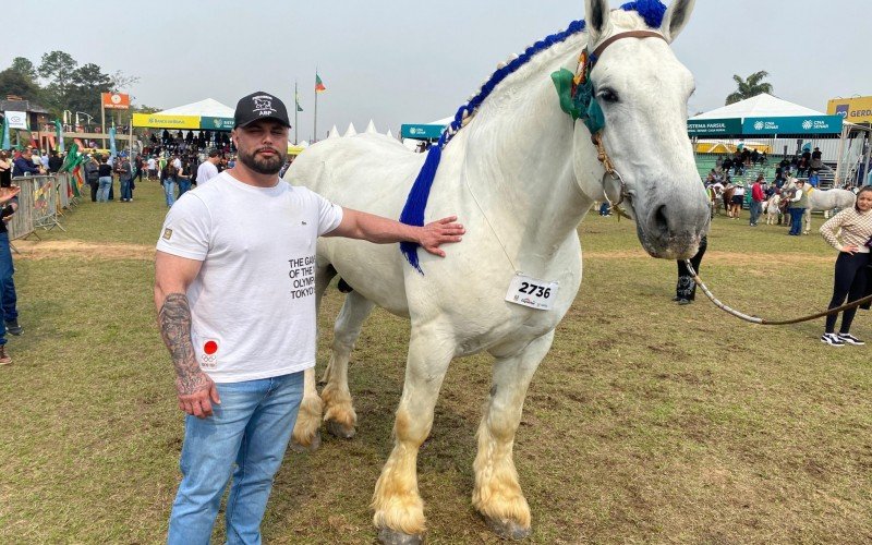 Raça Percheron é francesa e impressiona visitantes | abc+