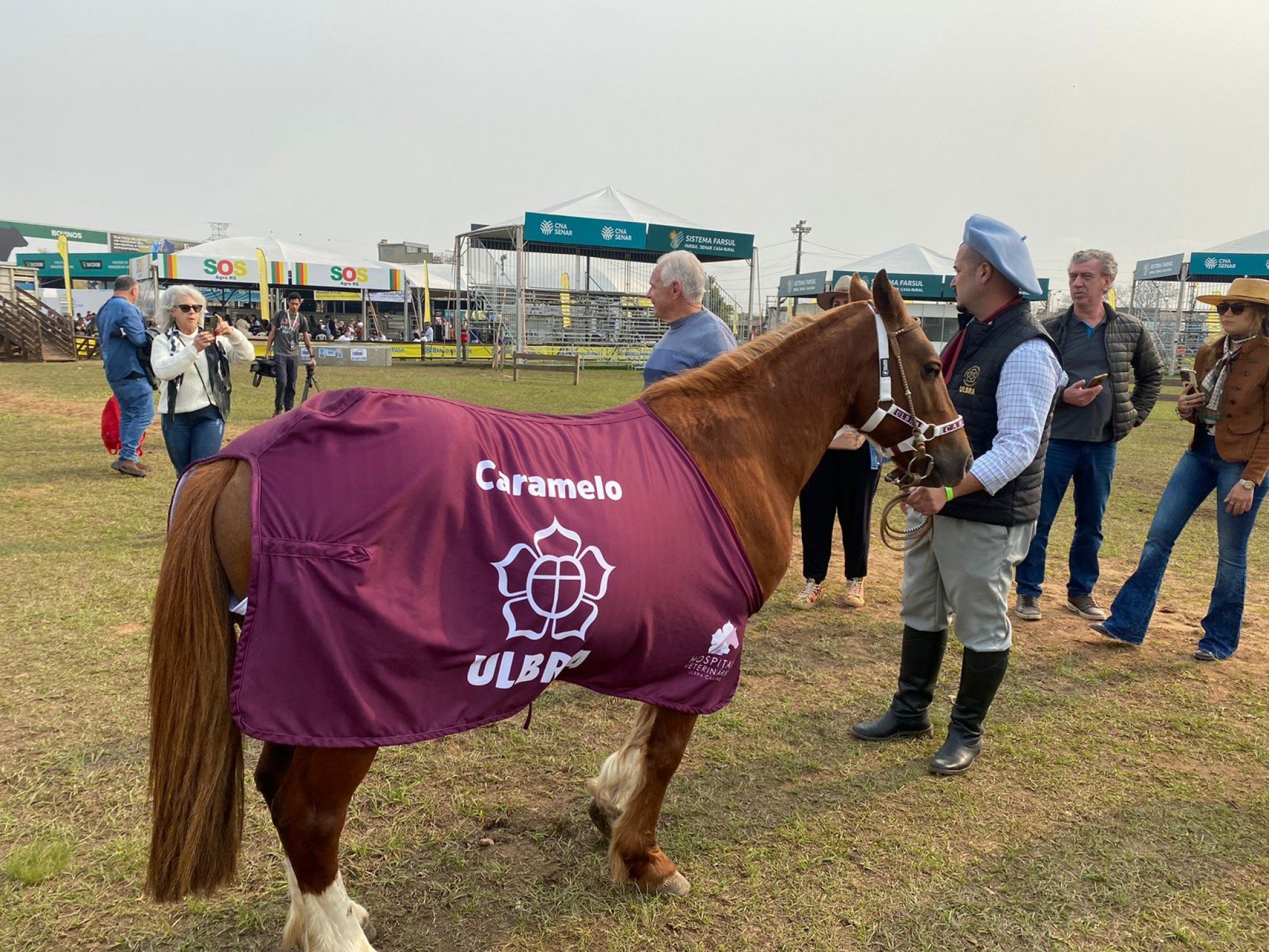 VÍDEO: Cavalo Caramelo é recebido como estrela na Expointer