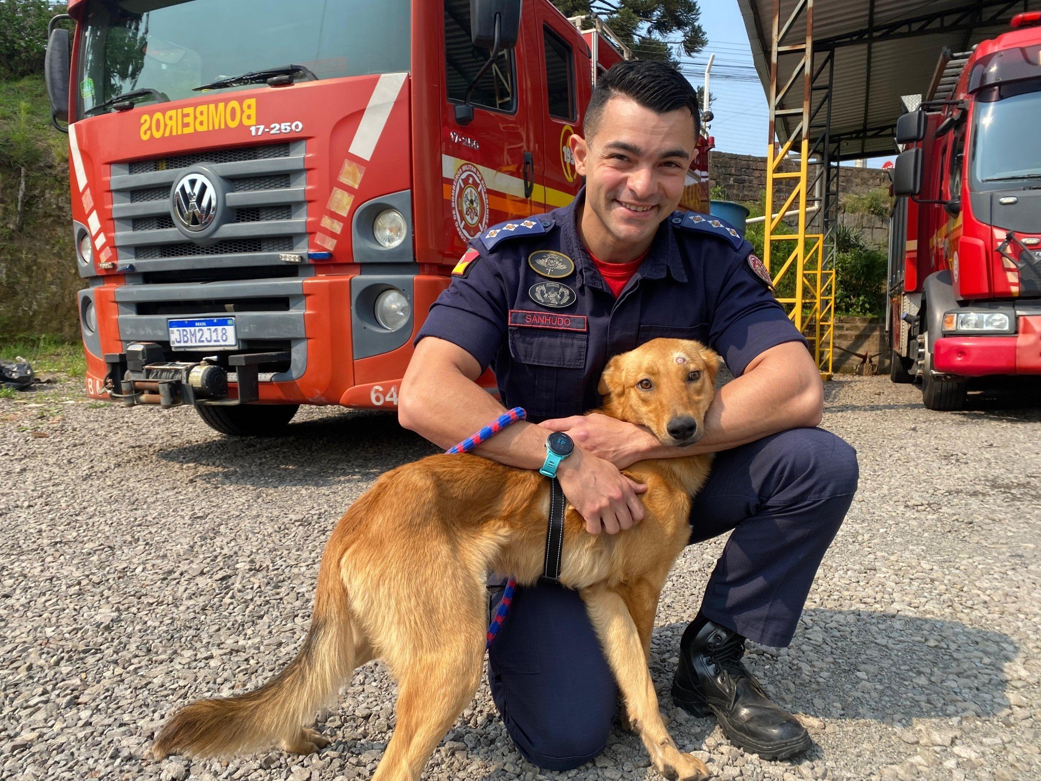 Como está o cão Peral pouco mais de uma semana após resgate dramático no Cânion Fortaleza?