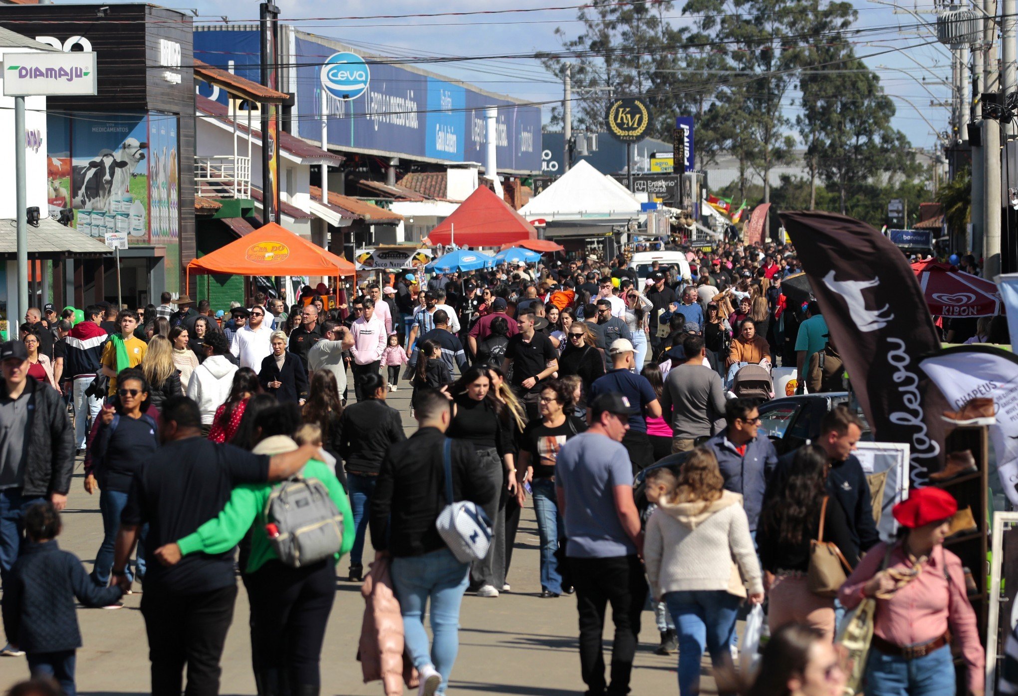 EXPOINTER: Feira da superação termina com mais de R$ 8,1 bilhões comercializados