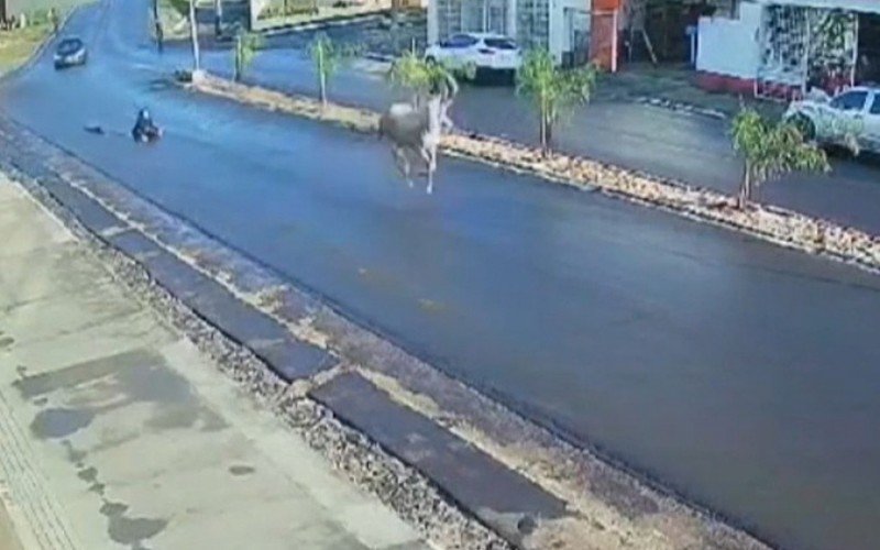Cavalo arrasta adolescente no asfalto por meio quilômetro no interior do RS | abc+