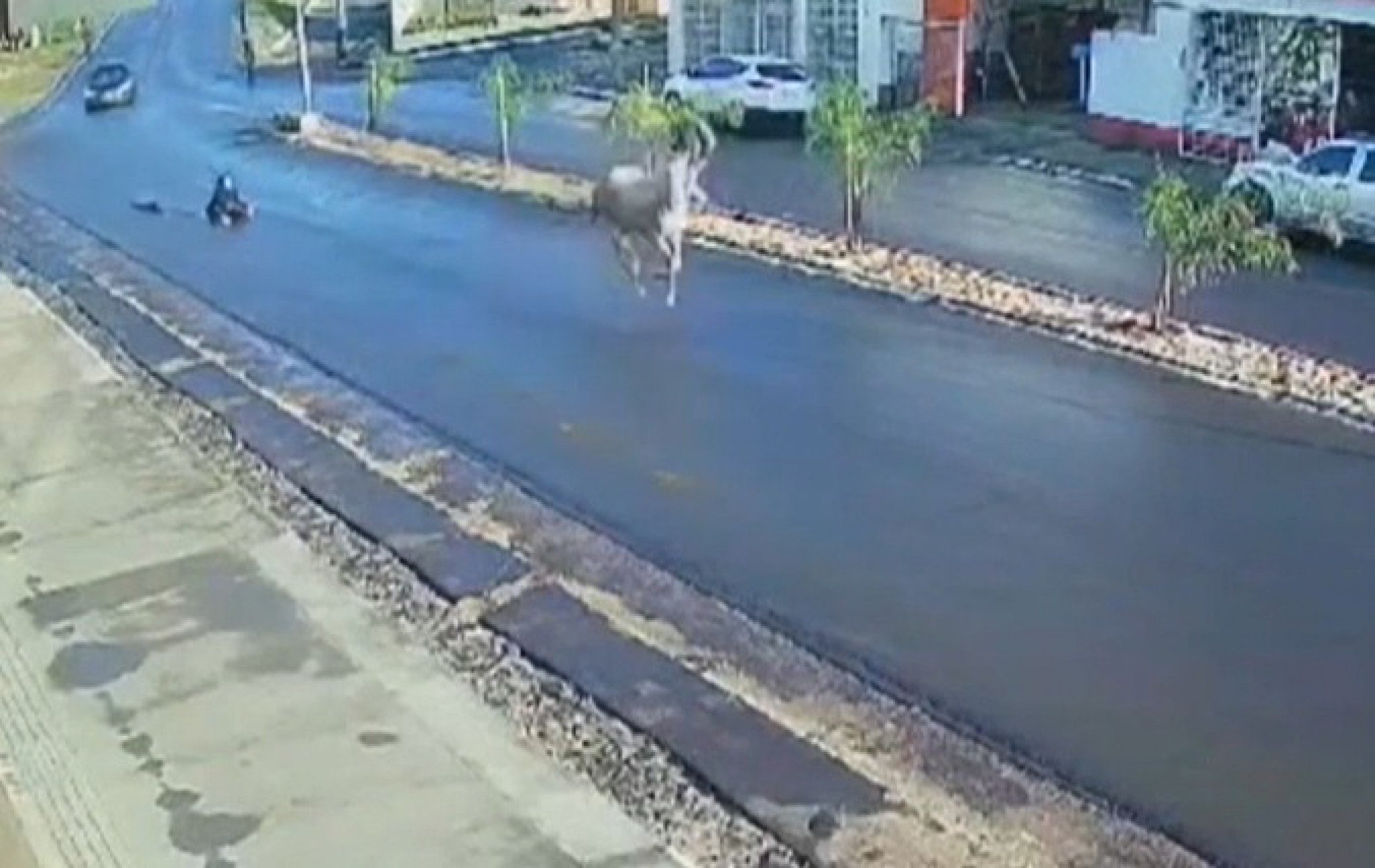 VÍDEO: Cavalo arrasta adolescente no asfalto por meio quilômetro no interior do RS