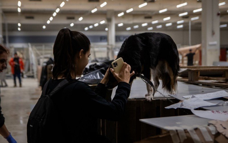 Prédio do Carrefour, que ainda abriga 112, animais precisará ser desocupado até dia 9