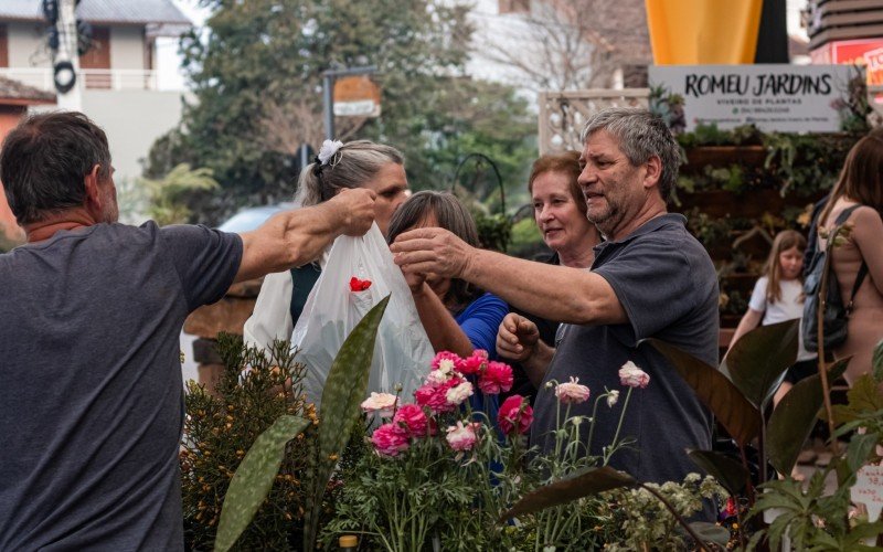 Festival da Primavera