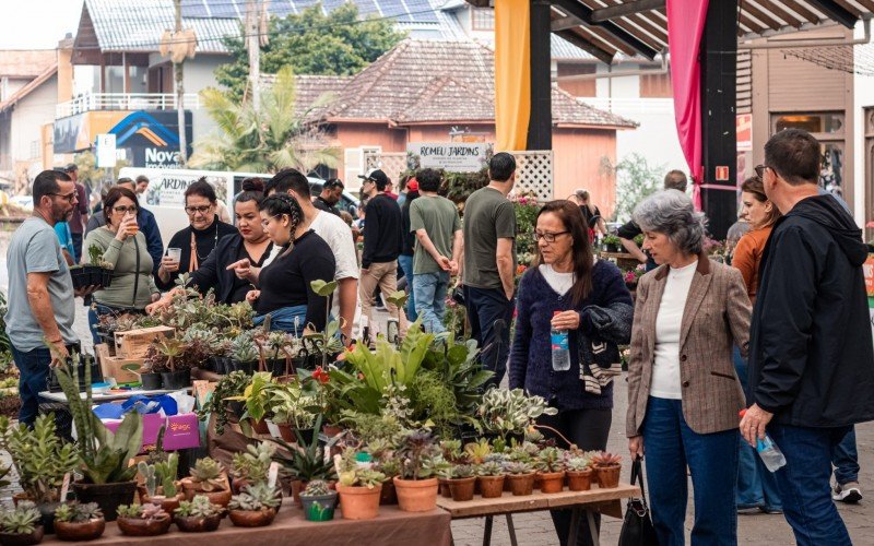 Festival da Primavera