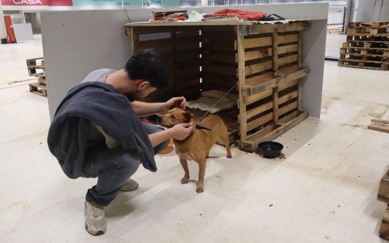 Apenas três animais que seguiam no abrigo na manhã desta segunda-feira (9) deveriam ser levado ao Canil