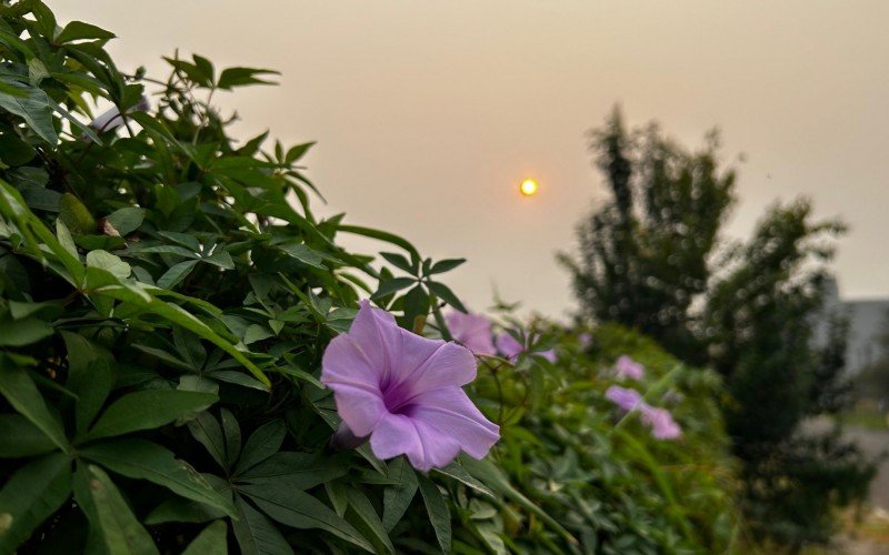 Sol está novamente alaranjado em Novo Hamburgo | abc+