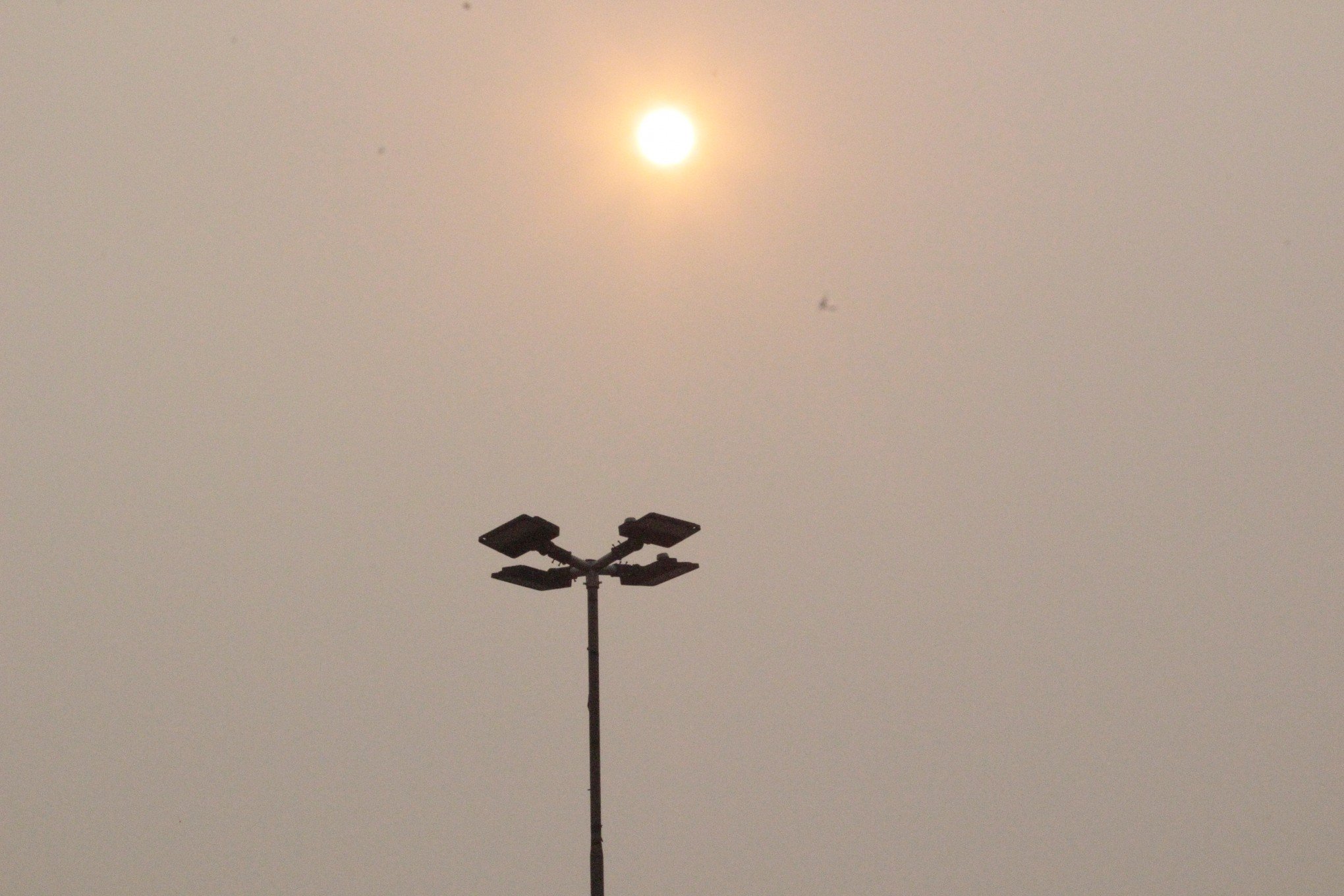 ONDA DE CALOR: Temperaturas vão passar de 35°C no RS? Sol alaranjado é registrado mais uma vez; veja a previsão do tempo