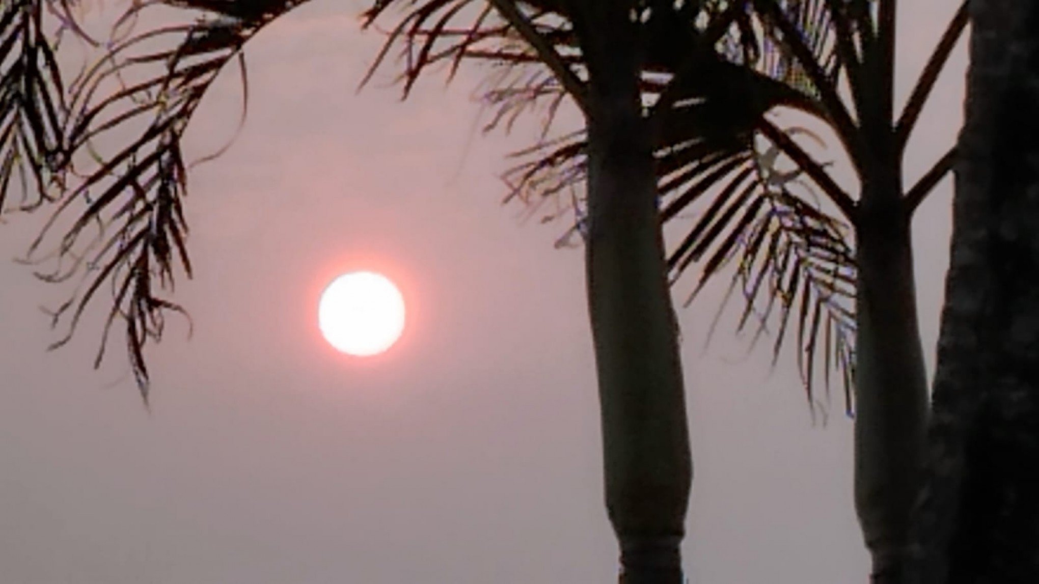 PREVISÃO DO TEMPO: RS pode ter calorão de 38ºC e mais fumaça nesta quarta-feira; confira