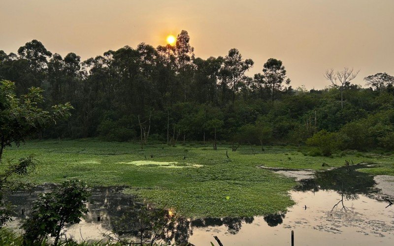 Sol aparece em meio a névoa na manhã desta quarta-feira | abc+