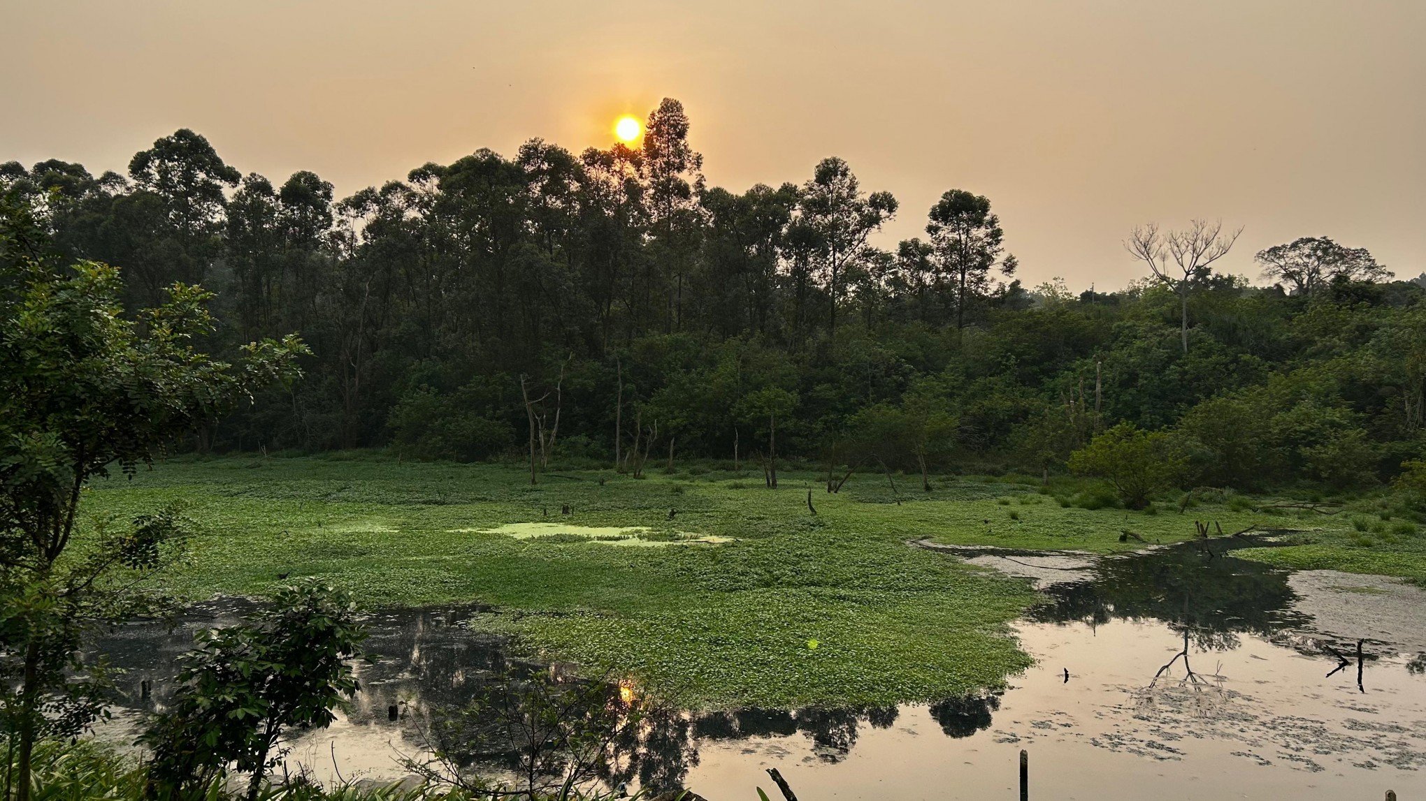 PREVISÃO DO TEMPO: O que vem depois do pico da onda de calor no Rio Grande do Sul