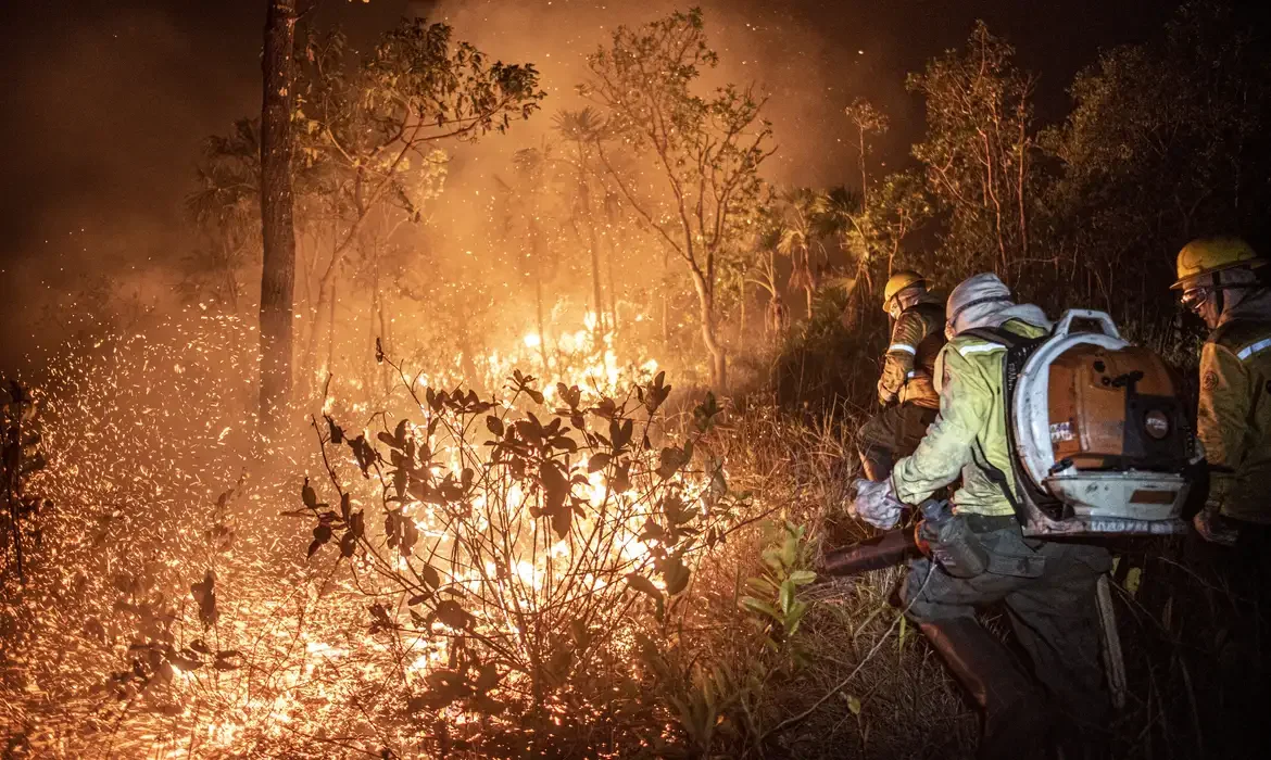 Brasil teve 11,39 milhões de hectares atingidos pelo fogo este ano | abc+