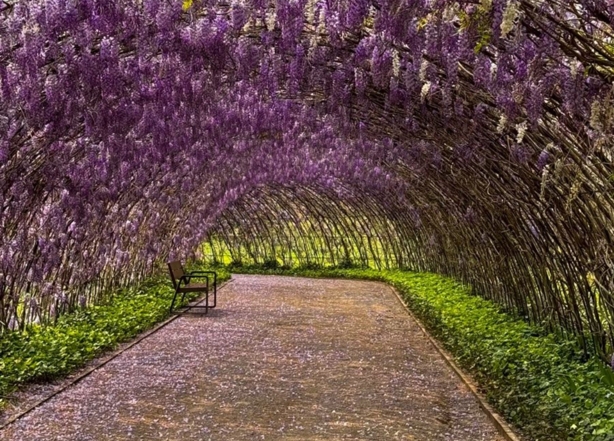 Evento celebrará chegada da primavera com chefs convidados no maior parque de flores das Américas