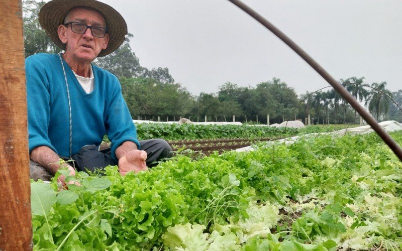 Agricultor Alfredo Strack conseguiu retomar produção | abc+