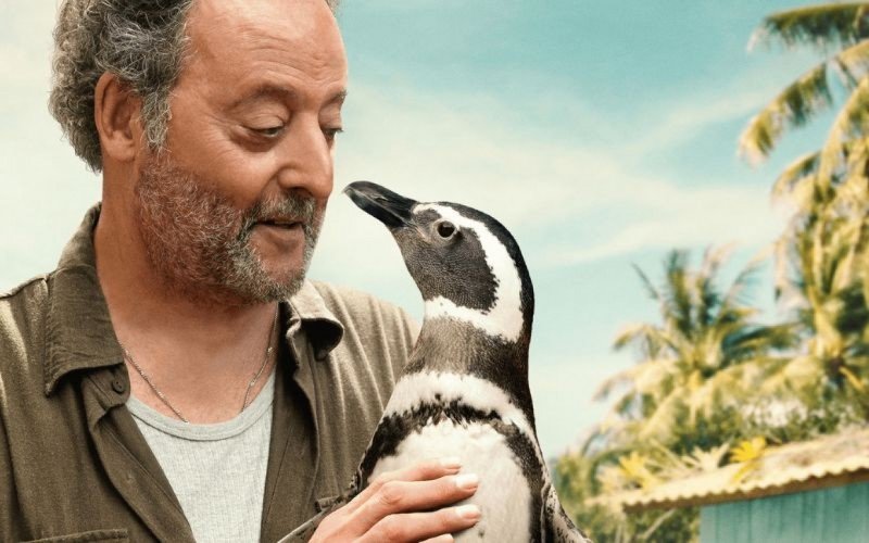 Meu Amigo Pinguim (2024) é uma das opções para assistir na Semana do Cinema em Gravataí | abc+