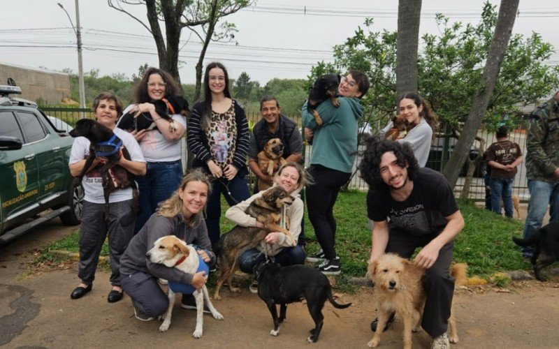 Ação de voluntários garantiu novos lares para 18 cães resgatados da enchente e outros dois que viviam no Canil Municipal 