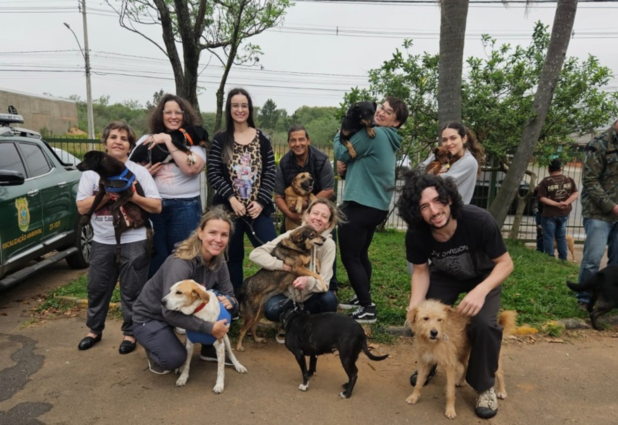 Animais resgatados da enchente em São Leopoldo são adotados e levados para três estados