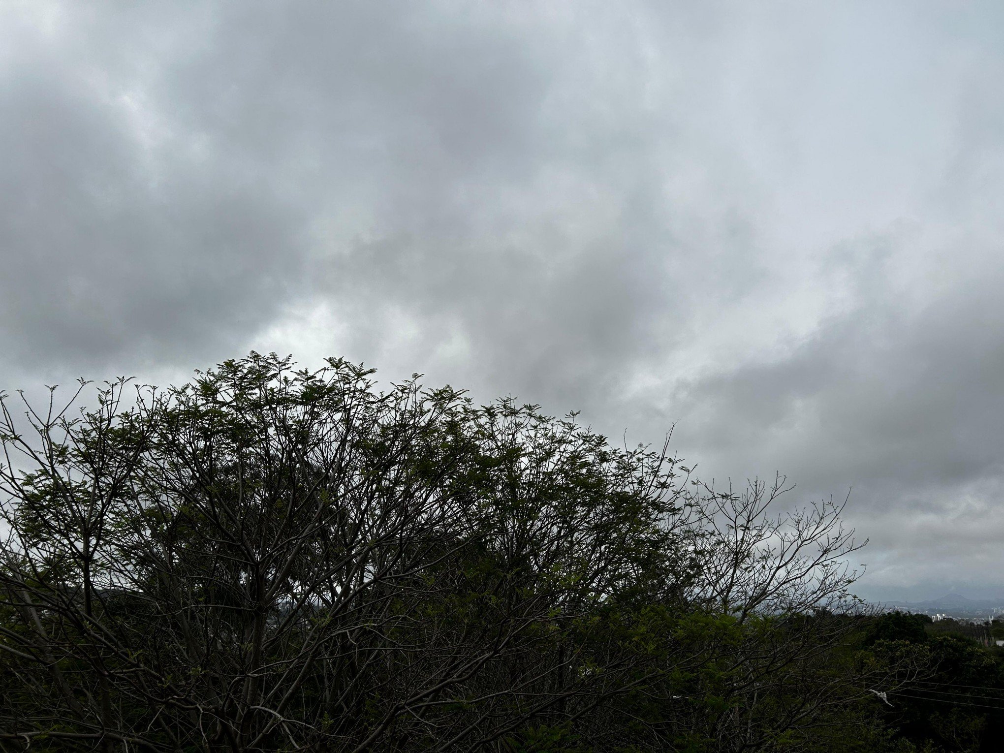 PREVISÃO DO TEMPO: Domingo tem sensação térmica de -2°C; veja o que esperar na última semana de inverno no RS