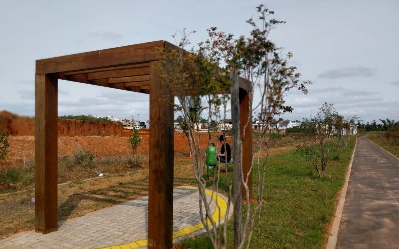 Canoas é outra cidade a investir em arborização urbana | abc+