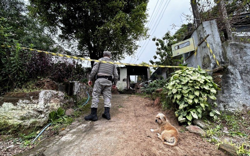 O cão vira-lata Chico ficou diante do imóvel durante toda a manhã