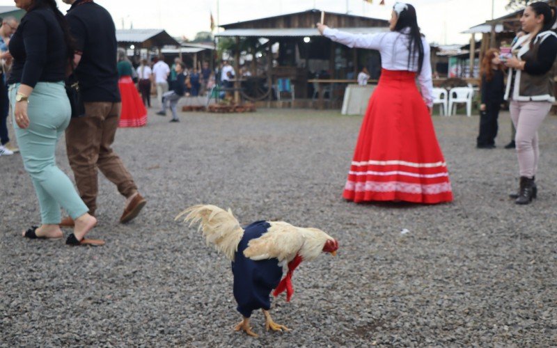 Baitaka passeia pelo Acampamento Farroupilha