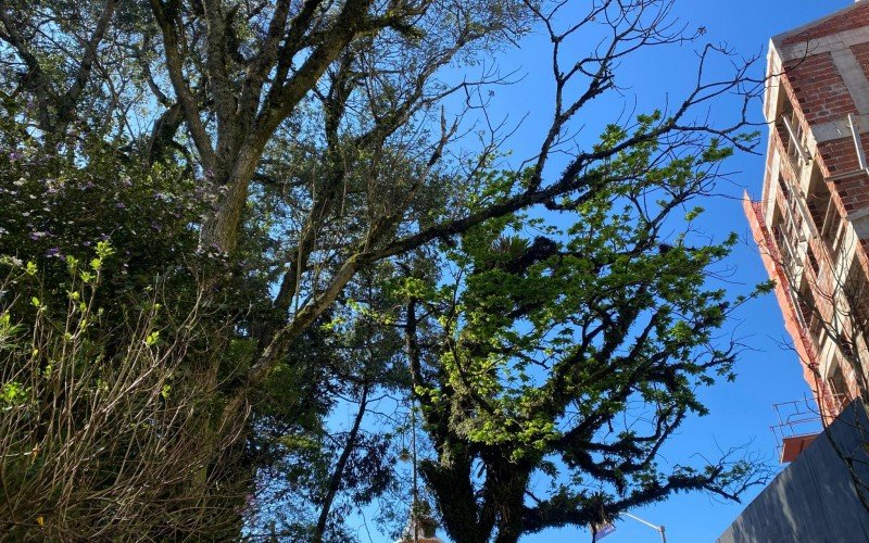 Céu azul volta a brilhar em Gramado após dias de fumaça