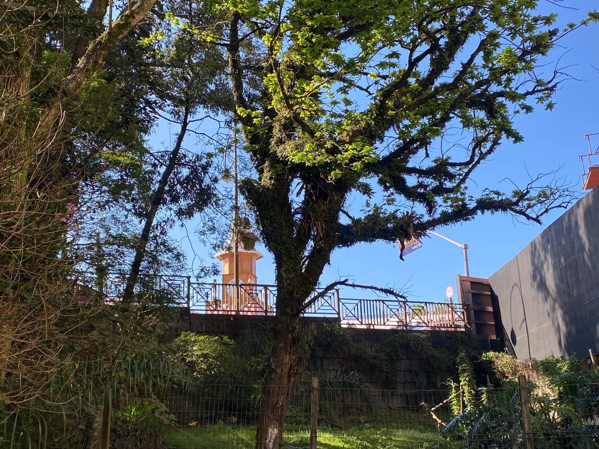 Céu azul volta a aparecer em Gramado após dias de fumaça; veja previsão do tempo para a semana