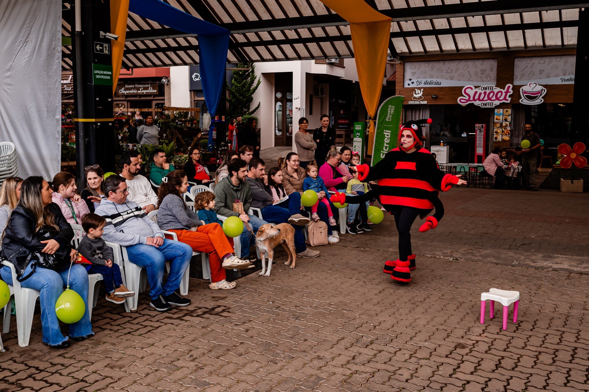 Celebração das flores e evento com churrasco marcam feriadão de 20 de setembro na Serra