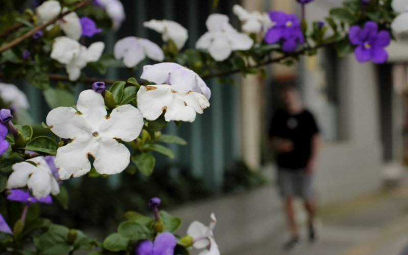 Primavera começa neste domingo (22) e deve ter influência tardia do La Niña | abc+