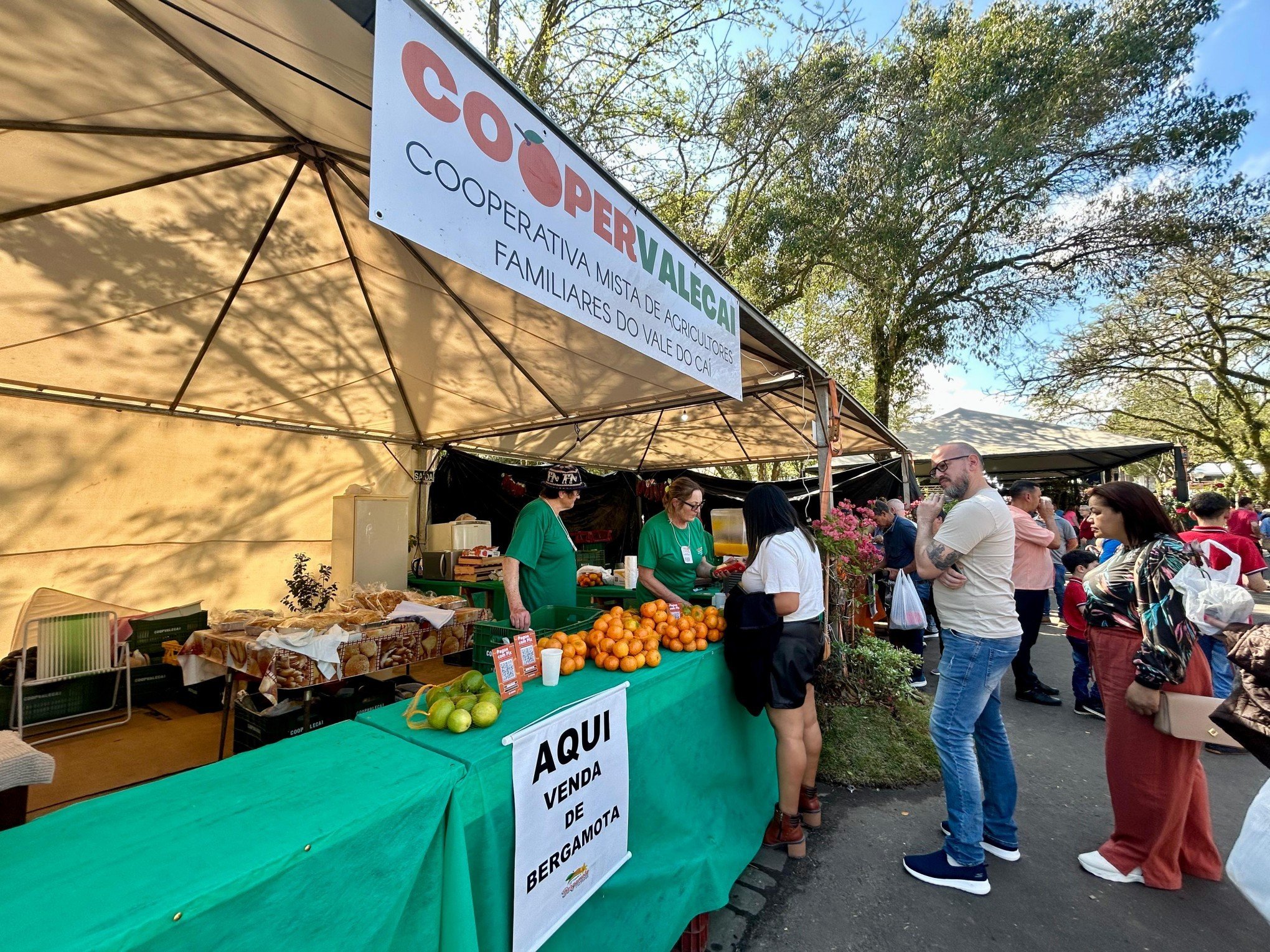 Chope, cuca, docinho e geleia: Delícias da fruta atraem visitantes na Festa da Bergamota; veja fotos