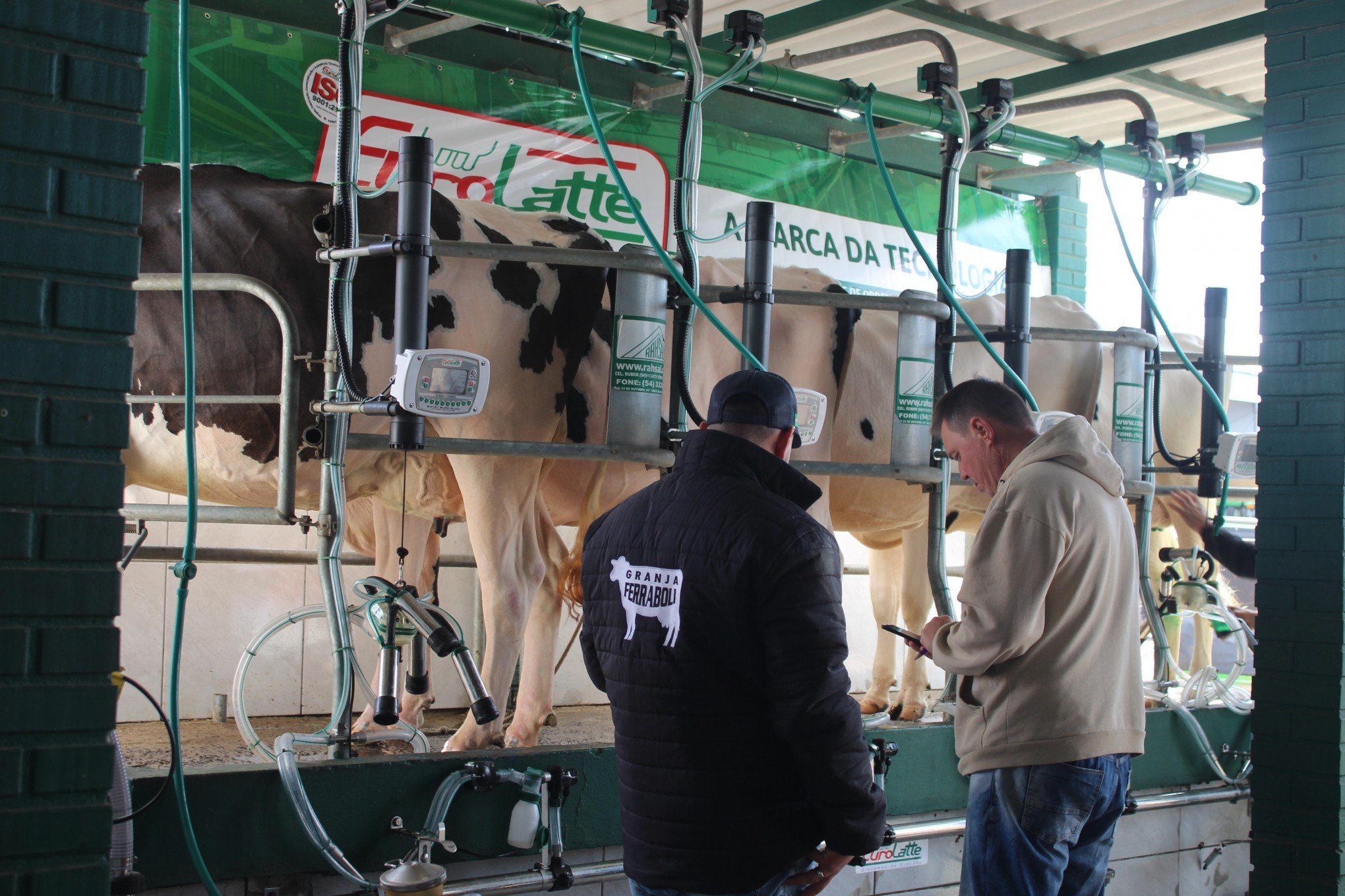 Cadeia leiteira: o que é preciso para que os jovens permaneçam na propriedade rural?